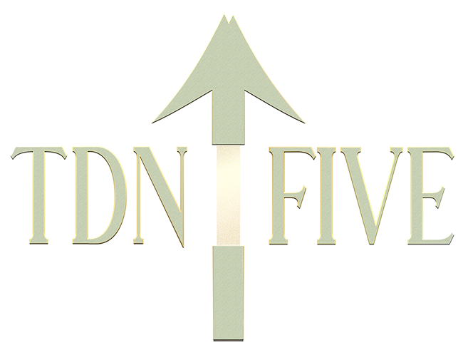TDN Five Incorporated US based logo